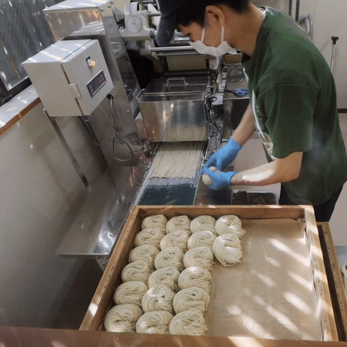 製麺工程の写真